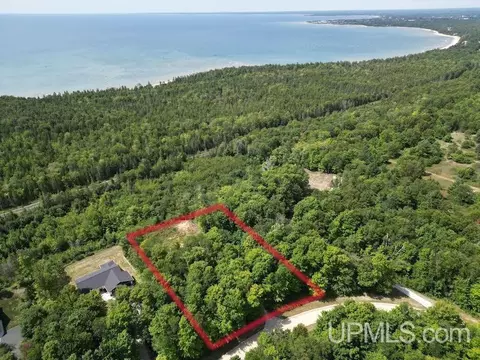 Tbd Dillexie, Manistique, MI 49854