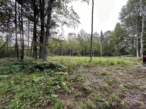 376 W M 61, Gladwin, MI 48624 photo 6
