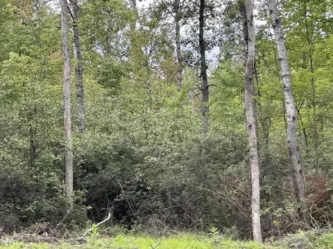 376 W M 61, Gladwin, MI 48624 photo 3