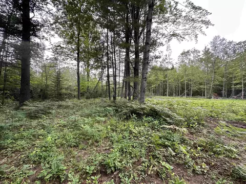 376 W M 61, Gladwin, MI 48624 photo 7