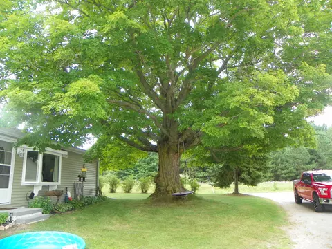 5597 N Old State, Harrison, MI 48625 photo 9