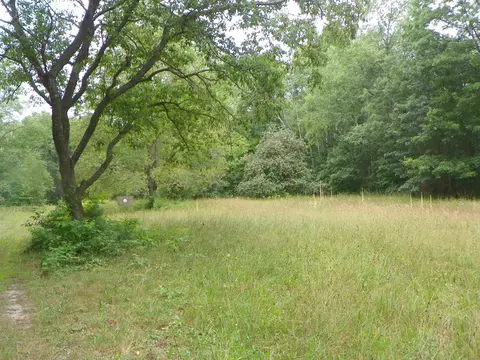 5597 N Old State, Harrison, MI 48625 photo 24