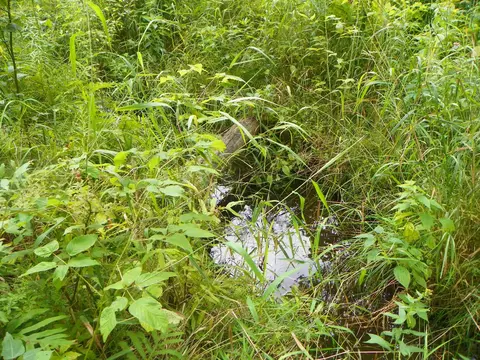 5597 N Old State, Harrison, MI 48625 photo 28