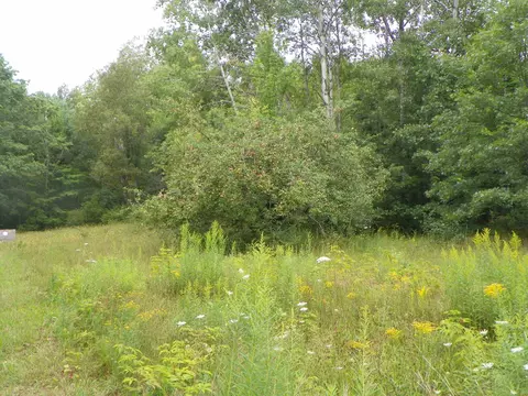 5597 N Old State, Harrison, MI 48625 photo 25