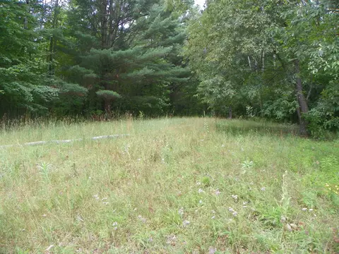 5597 N Old State, Harrison, MI 48625 photo 23