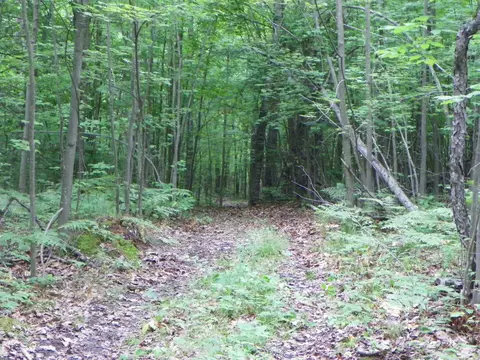 5597 N Old State, Harrison, MI 48625 photo 27