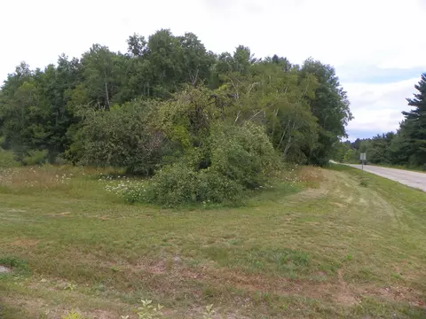 5597 N Old State, Harrison, MI 48625 photo 39