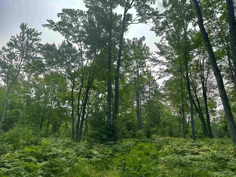 Tbd Co Rd Cx, Ishpeming, MI 49849 photo 35