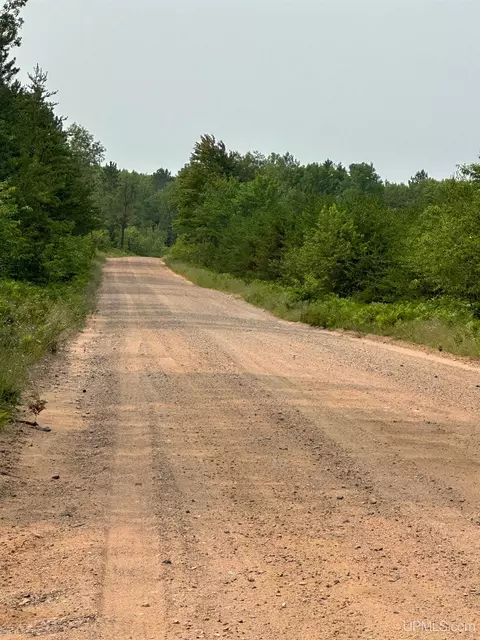 Tbd Co Rd Cx, Ishpeming, MI 49849 photo 3