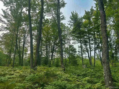 Tbd Co Rd Cx, Ishpeming, MI 49849 photo 36