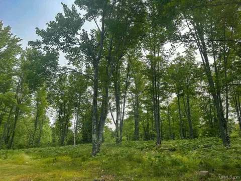 Tbd Co Rd Cx, Ishpeming, MI 49849 photo 13