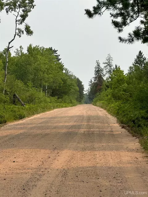 Tbd Co Rd Cx, Ishpeming, MI 49849 photo 4