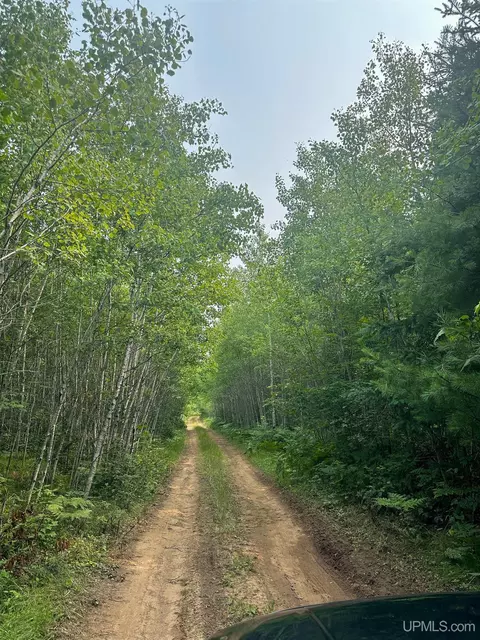 Tbd Co Rd Cx, Ishpeming, MI 49849 photo 7