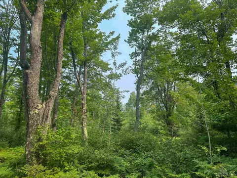 Tbd Co Rd Cx, Ishpeming, MI 49849 photo 37