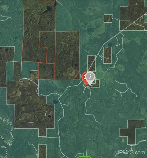 Tbd Co Rd Cx, Ishpeming, MI 49849 photo 42