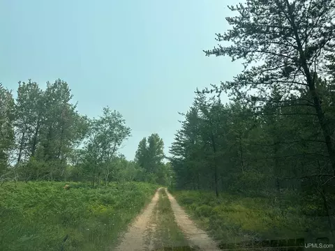 Tbd Co Rd Cx, Ishpeming, MI 49849 photo 6