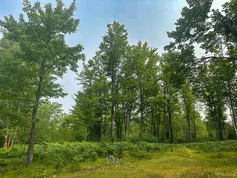 Tbd Co Rd Cx, Ishpeming, MI 49849 photo 12