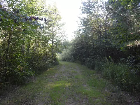 Nn E M61, Gladwin, MI 48624 photo 8