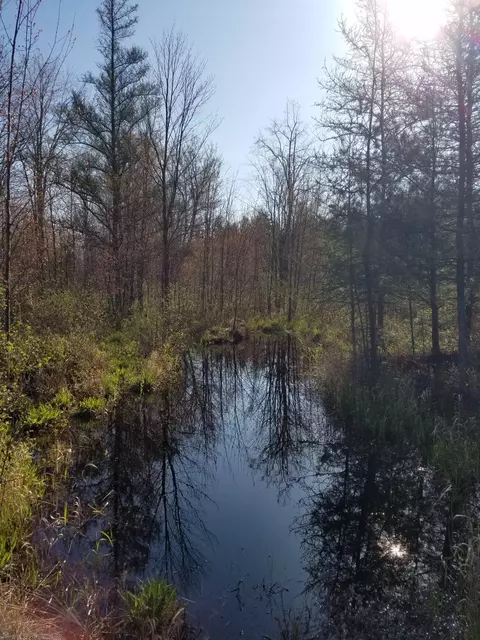 Nn E M61, Gladwin, MI 48624 photo 18