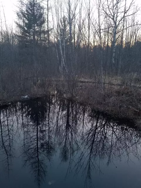 Nn E M61, Gladwin, MI 48624 photo 17