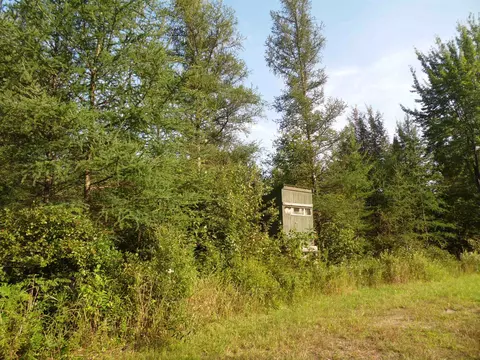 Nn E M61, Gladwin, MI 48624 photo 11