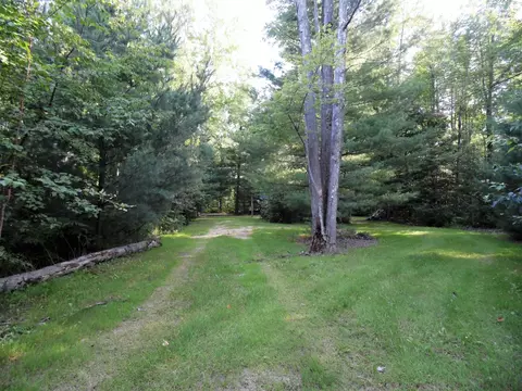 Nn E M61, Gladwin, MI 48624 photo 3