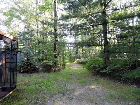 Nn E M61, Gladwin, MI 48624 photo 7