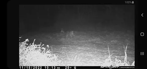 Nn E M61, Gladwin, MI 48624 photo 30