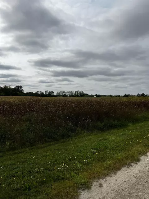 63 Burrwood, Riley, MI 48041