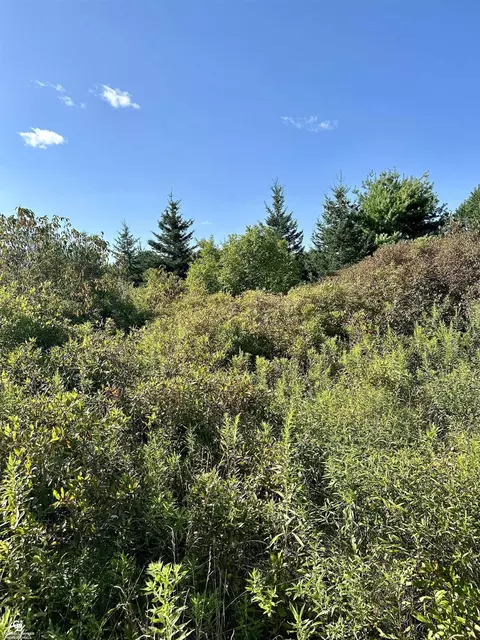0 Kilburn, Jeddo, MI 48032 photo 8