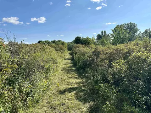 0 Kilburn, Jeddo, MI 48032 photo 16