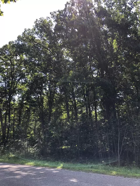 W Gordonville, Midland, MI 48640