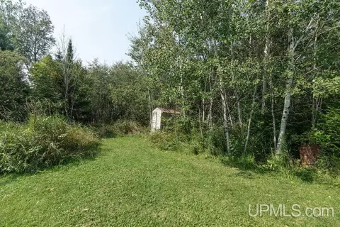 3889 N Blaney Jct Grade, Germfask, MI 49836 photo 37