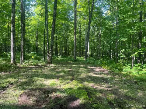 84 Acres Marinello, Stambaugh, MI 49935