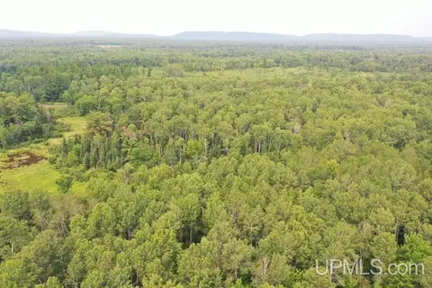 Tbd Goldberg, Bergland, MI 49910