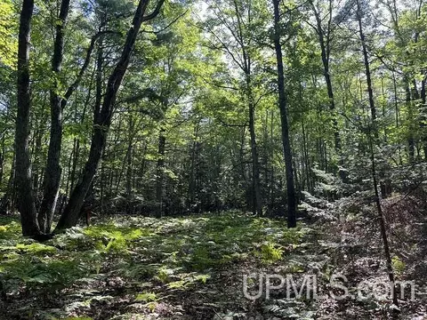 2048 Deer Lk, Ishpeming, MI 49849 photo 30