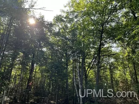 2048 Deer Lk, Ishpeming, MI 49849 photo 27