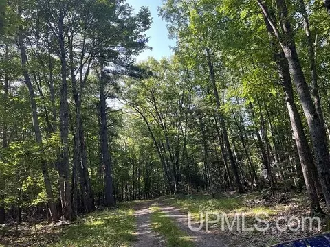 2048 Deer Lk, Ishpeming, MI 49849 photo 39