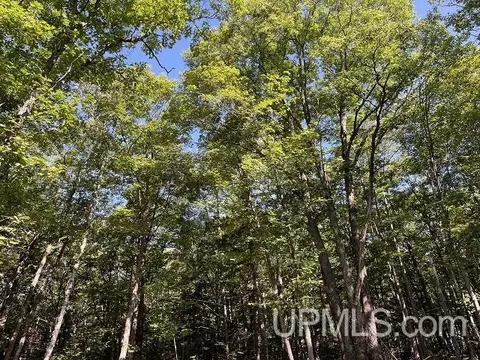 2048 Deer Lk, Ishpeming, MI 49849 photo 26