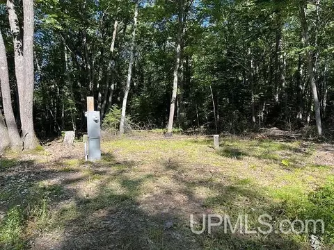 2048 Deer Lk, Ishpeming, MI 49849 photo 37