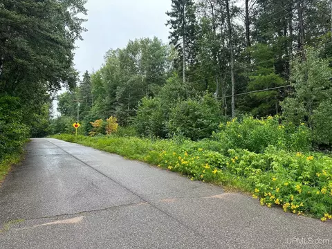 Tbd Co Rd Cna, Ishpeming, MI 49849 photo 3