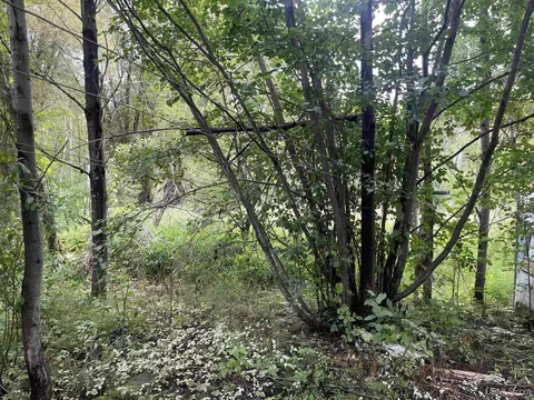 7330 M28, Munising, MI 49862 photo 3