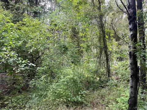 7330 M28, Munising, MI 49862 photo 4