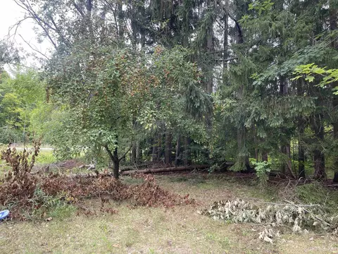 7330 M28, Munising, MI 49862 photo 5
