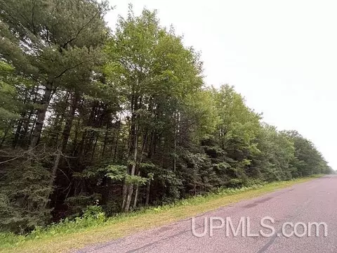 40 Acres Stoneville, Ishpeming, MI 49849