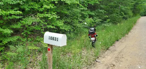 Vacant Woods Rd., Gladwin, MI 48624 photo 3
