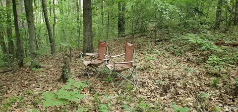Vacant Woods Rd., Gladwin, MI 48624