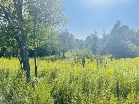 Tbd T.65, Rapid River, MI 49878 photo 6