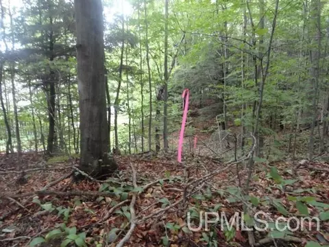 e9526 East Munising Avenue, Munising, MI 49862 photo 6