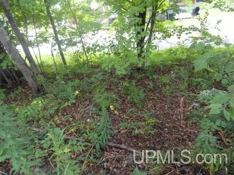 e9526 East Munising Avenue, Munising, MI 49862 photo 7